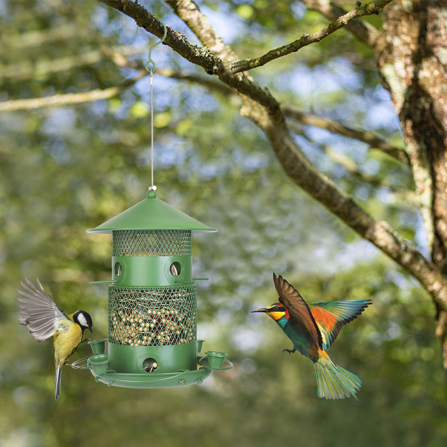 Moclever Wild Bird Feeder, Outdoor Hanging Bird Feeder Squirrel-Proof Chew-Proof with 360° Circular Perches Water Cups for Yard Garden Patio, Green