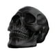thumbnail image 2 of Uuiauoio Resin Skull, Human Head Model for Home Decoration, Halloween Statue, Skull Model for Bookshelf and Desktop, Skeleton Head Halloween Skull Artwork Decoration, 2 of 6