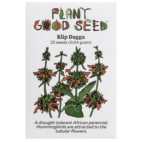 Plant Good Seed Organic Klip Dagga Seeds for Planting: 25 Count, Drought Tolerant African Perennial