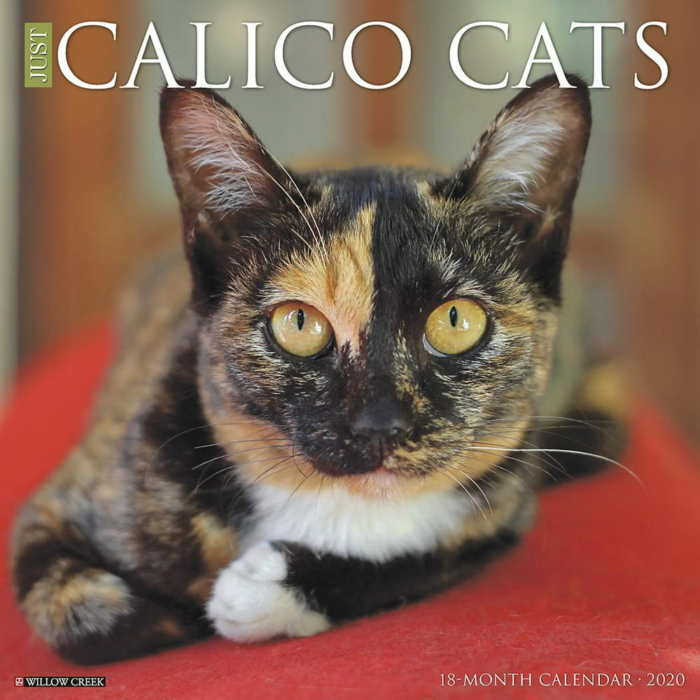 Just Calico Cats 2020 Wall Calendar (Other) - Walmart.com - Walmart.com