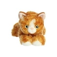 thumbnail image 2 of Aurora Peluches Mini Flopsie-Molly (Chat) 8 Pouces, 2 of 2