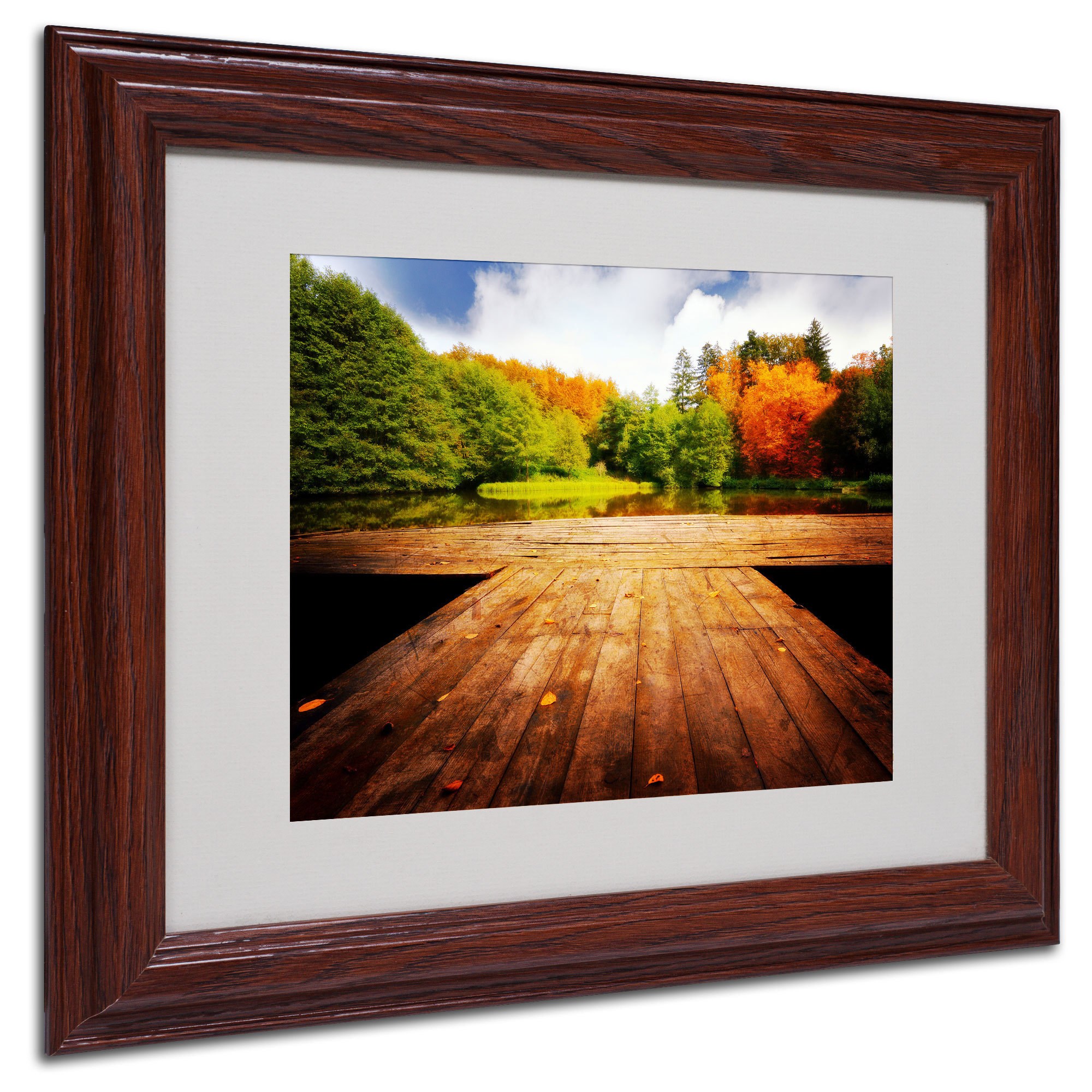 Trademark Fine Art "October" Canvas Art by Philippe Sainte-Laudy, Wood Frame