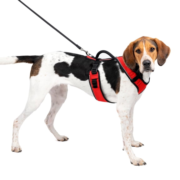 PetSafe EasySport Dog Harness | Great for Runs, Walks, and Hikes | Comfy