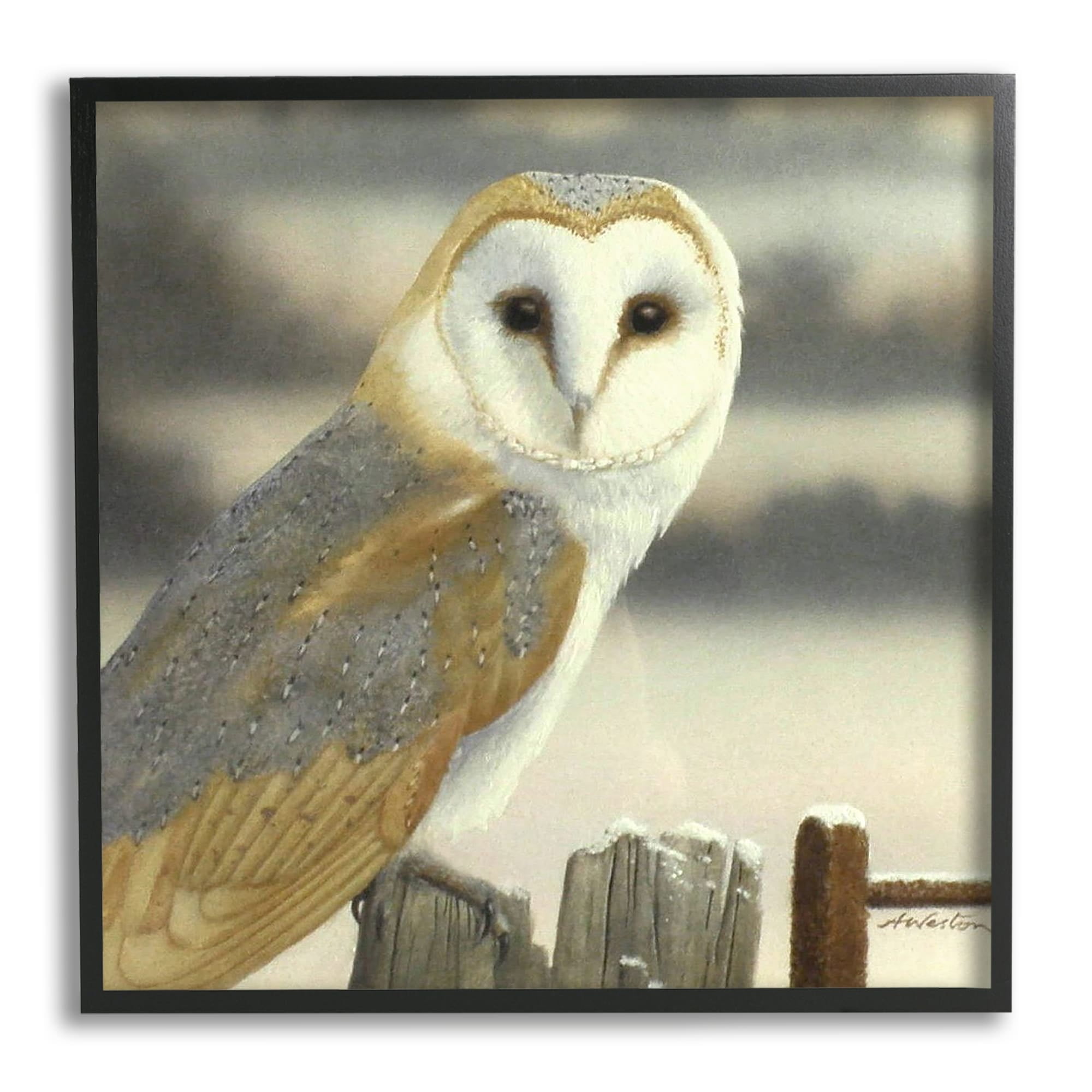 Stupell Industries Barn Owl Gazing Perched Niveous Rural Fence Painting Gray Framed Art Print Wall Art, Design by Alan Weston