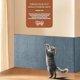 thumbnail image 5 of Tapete para rascar para gatos, autoadhesivo, recortable, protector de muebles para sofá, alfombrilla para rascar gatos, árbol de gato, alfombra de escalada para gatos, 5 of 7