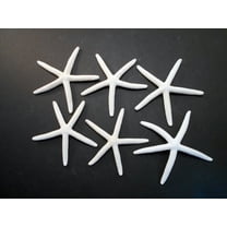 6 White Pencil (Finger) Starfish 3-4" Beach Wedding Nautical Decor Crafts