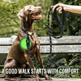 thumbnail image 2 of 2 Pack Dog Leash-Collapsible Pet Bowl-Poop Bag Holders,Long Heavy Duty Dog Training Leashes for Small Medium Large Breed Dogs,5 FT Comfortable Padded Handle Reflective Chew Proof Rope Dog Leash, 2 of 6