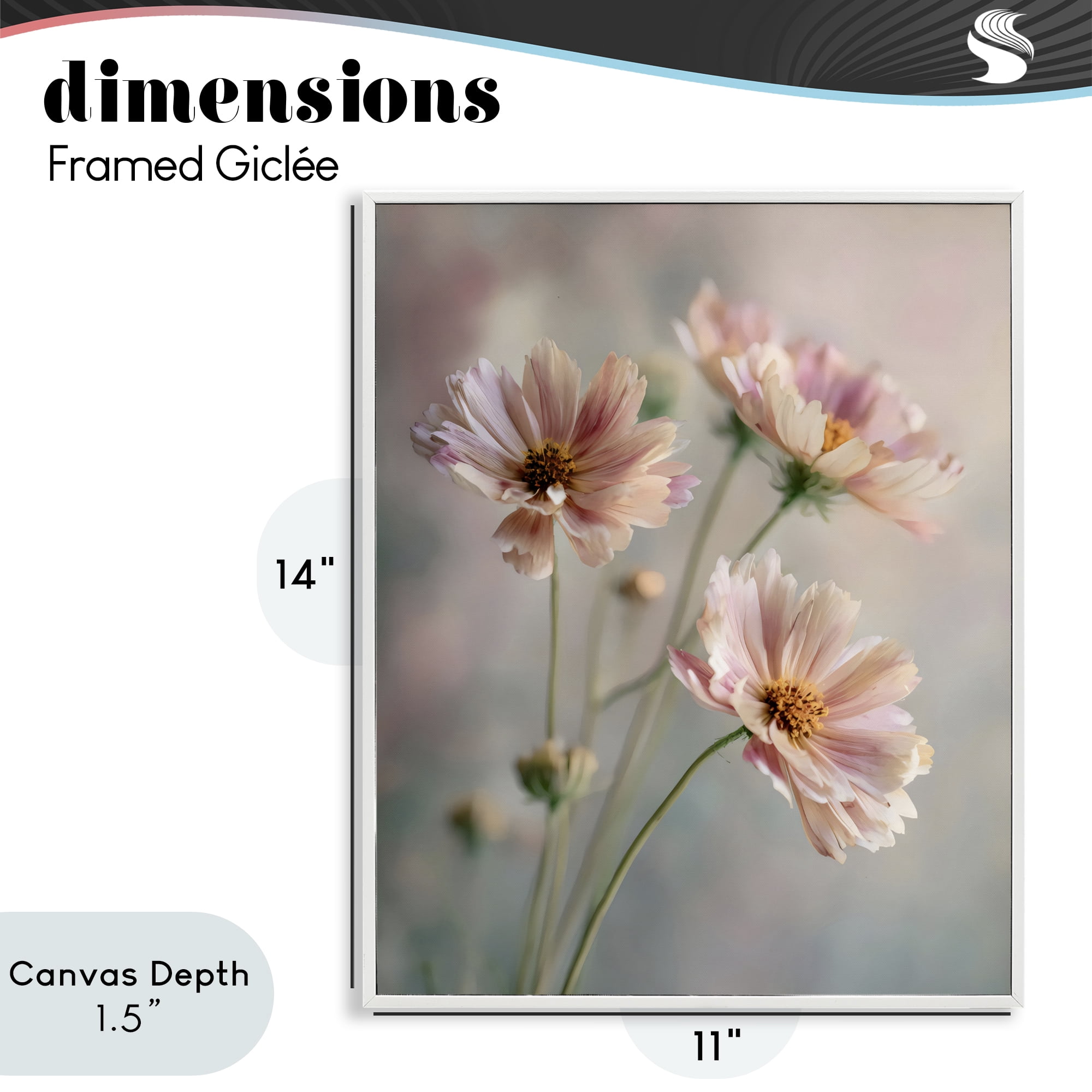 Stupell Industries Pink Daisies Close Up White Framed Giclee Art, design by Franklyn Gregory