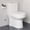 Toilet with cover, variant on HOROW 1.28GPF Round Bathroom Compact One Piece Toilet Elongated Dual Flush Water Closet 12" Rough-in