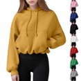 thumbnail image 1 of Tops Henley para mujer,Sudadera ligera para mujer, estilo informal de manga larga, mezcla de poliéster y elastano, cuello redondo, ideal para estar en casa, sopatenor, 1 of 9