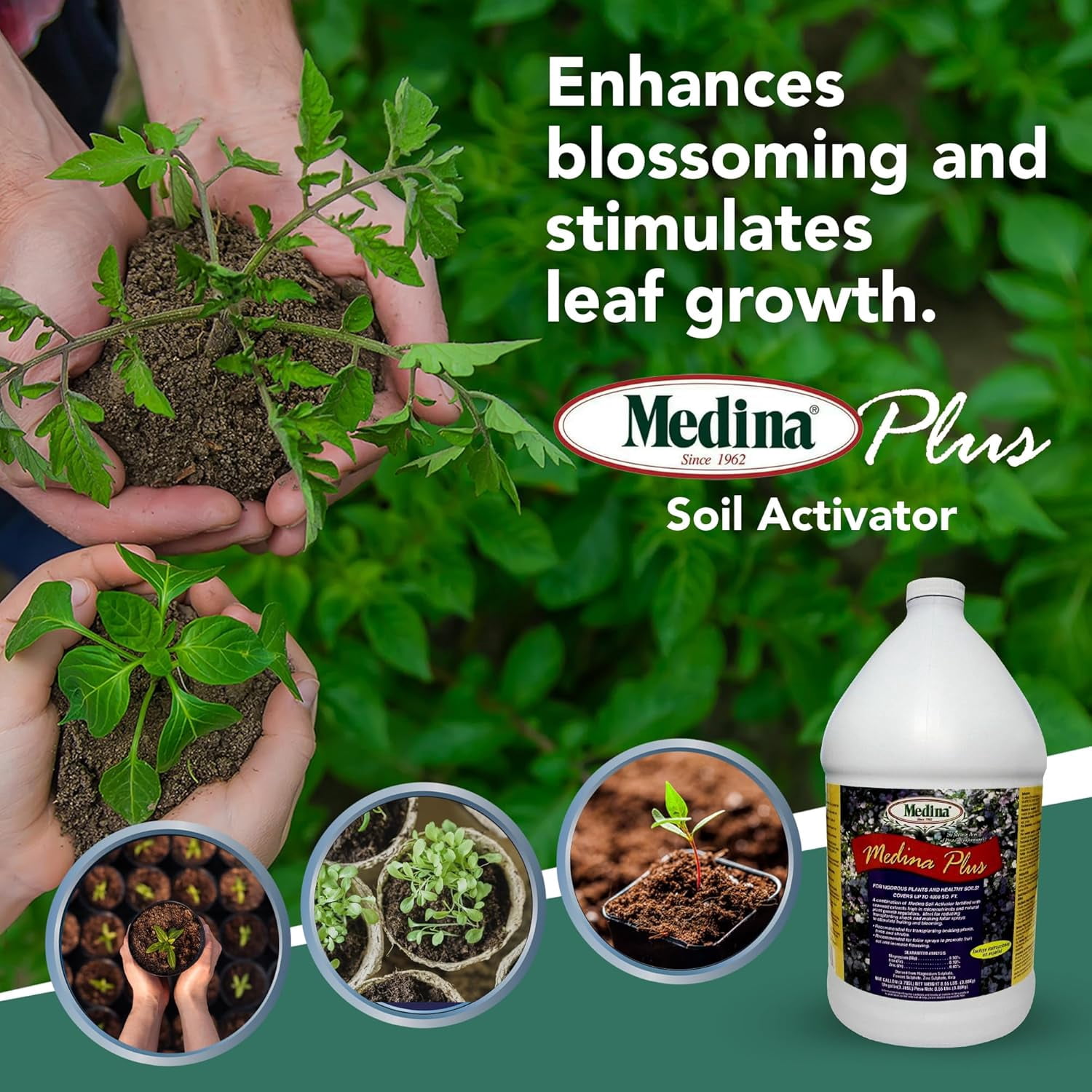 Medina Plus Liquid Fertilizer - Blooming and Fruiting Enhancer - 128 fl oz Jug by Medina