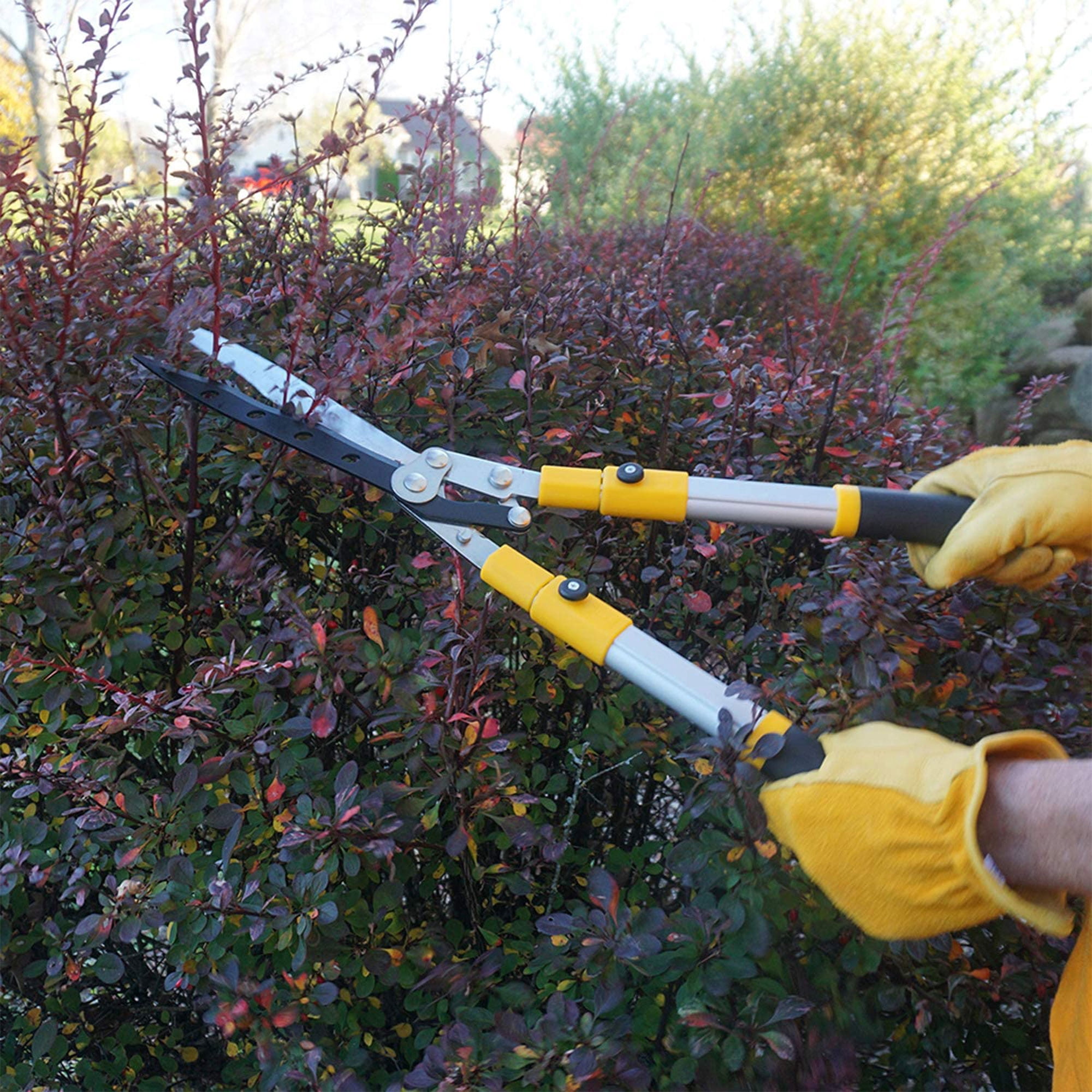 Centurion 75 Upgraded Telescoping Hedge Trimmer Shears with 9 Inch Blades