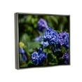 thumbnail image 3 of Stupell Industries Purple Hydrangea Photography Botanical & Floral Photography Gray Floater Framed Art Print Wall Art, 31 x 25, 3 of 9