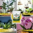 thumbnail image 2 of Harris Horticultural Charcoal, Premium Biochar Soil Amendment for Plants and Terrariums, 2qt., 2 of 6