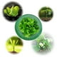 thumbnail image 5 of Campanas Jardín para Verduras Collares Caracol Ahorran Herramienta Protectora, 5 of 9