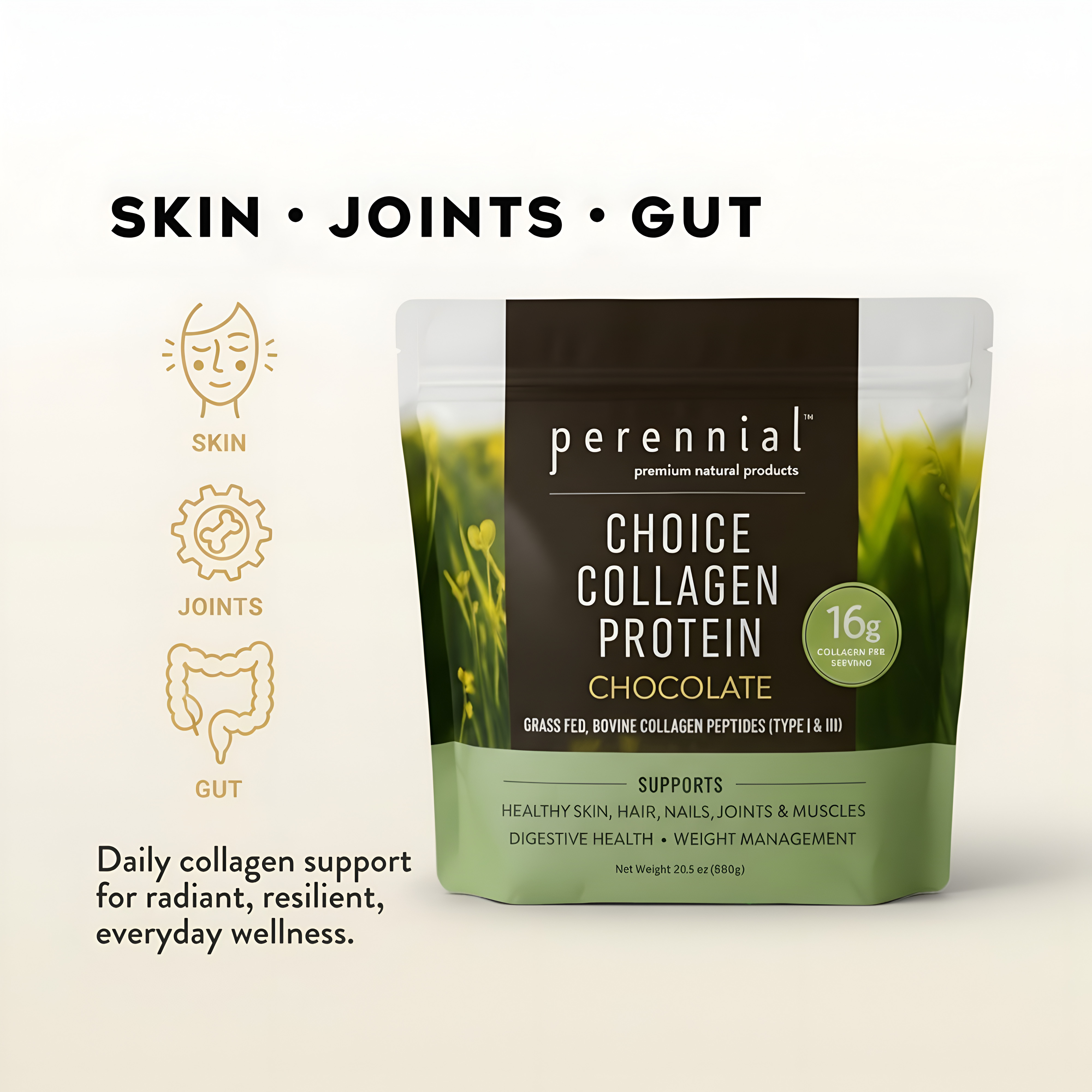 Collagen Peptides for Skin, Joints  Gut — Chocolate | Perennial
