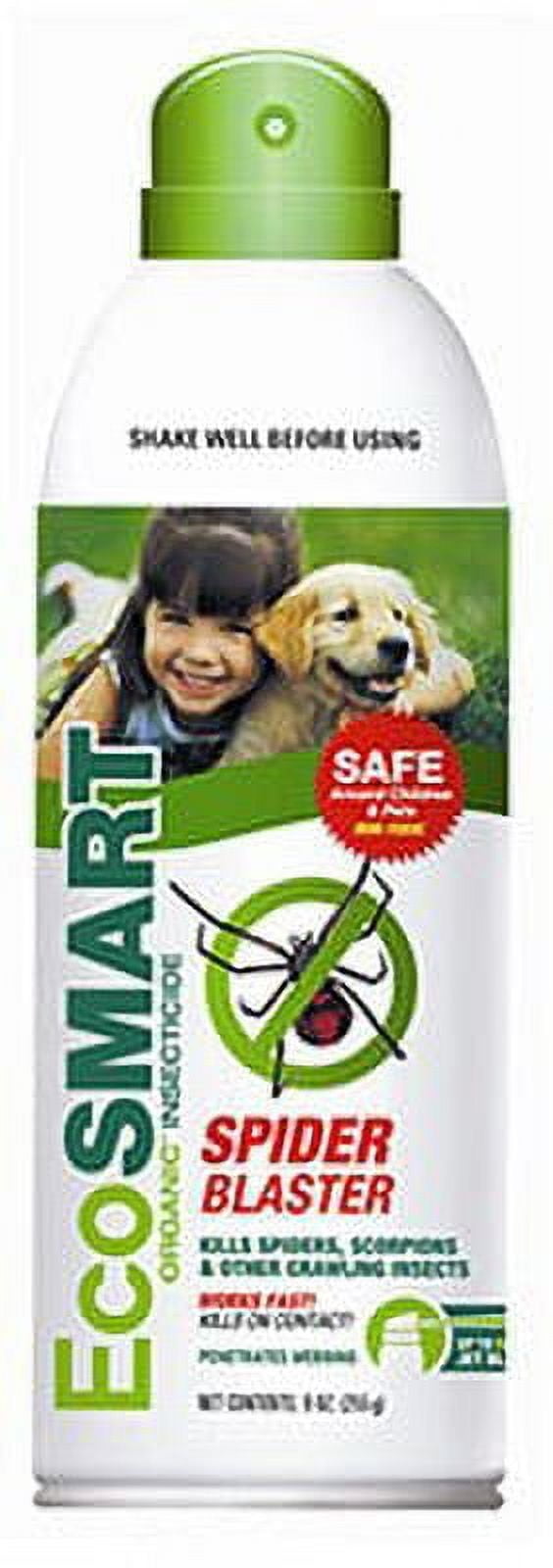 As Seen on TV FabriClear Bed Bug and Dust Mite Spray for Sofa and Couch,  Includes Travel Size - Walmart.com, image size:564x1600