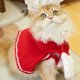 thumbnail image 1 of Pet Christmas Costume Set Santa Hat Scarf Cloak Decor For Pet For Dog Pet Christmas Party Cosplay Supplies, 1 of 6