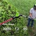 thumbnail image 4 of Greenworks 24V Brushless 8" Pole Saw + 20" Pole Hedge Combo, 2.0Ah Battery and 30W Type-C Charger (3-FT Cord), 4 of 17