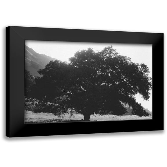Koetsier, Albert 14x11 Black Modern Framed Museum Art Print Titled - Bush Breeze