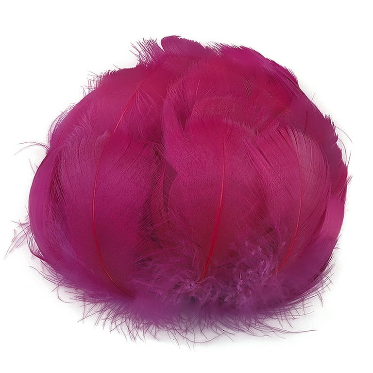  Colorful Feathers Crafts,Natural Feathers Craft