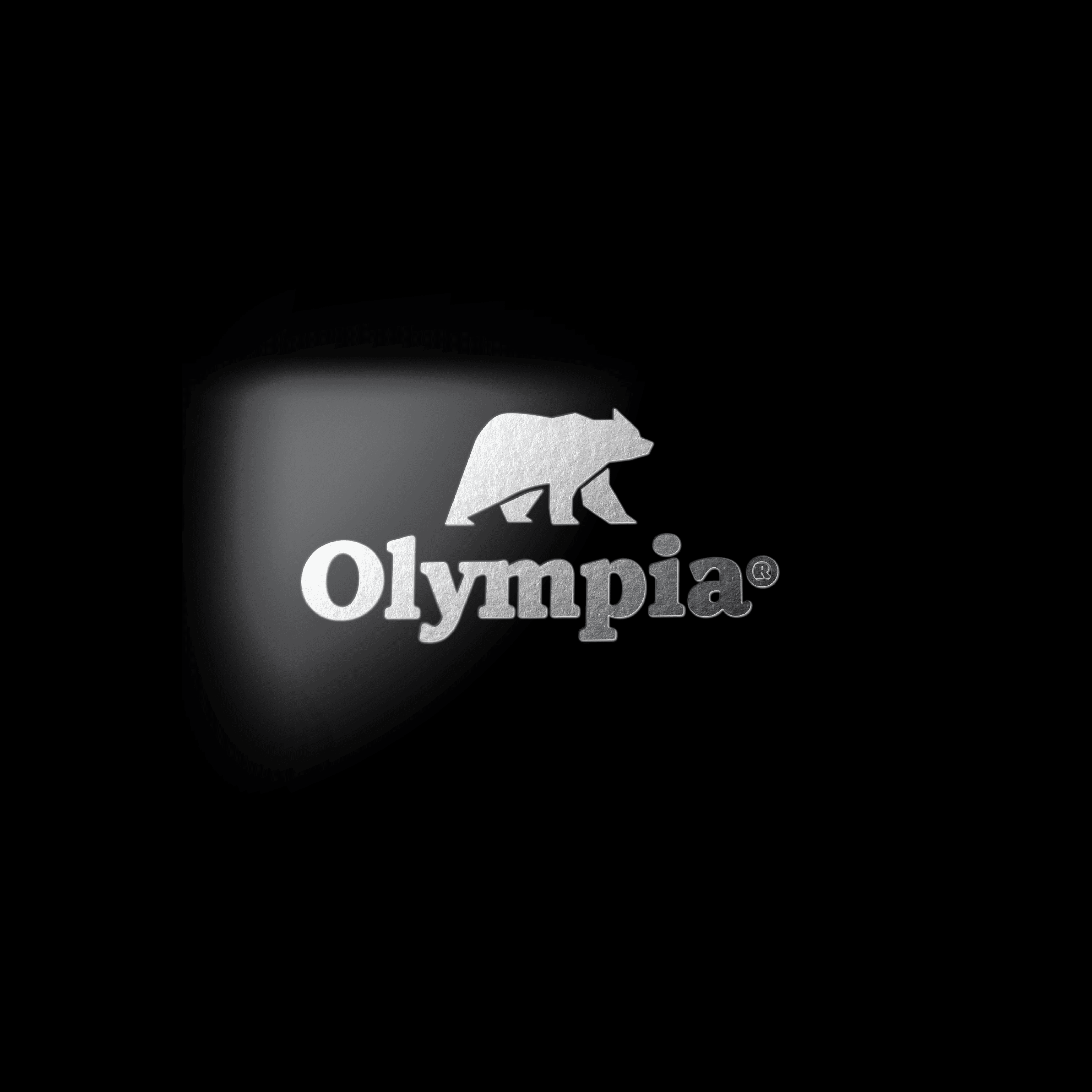 Olympia Brand Butane Gas Cartridge – 8oz (227g) - for Stoves & Portable Appliances. 1 Canister.