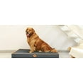 thumbnail image 6 of Laifug Washable Dog Bed Waterproof Fabric Egg Crate Foam Supportive Pet Bed 44" x 32"x4" Non-Slip Bottom, 6 of 7