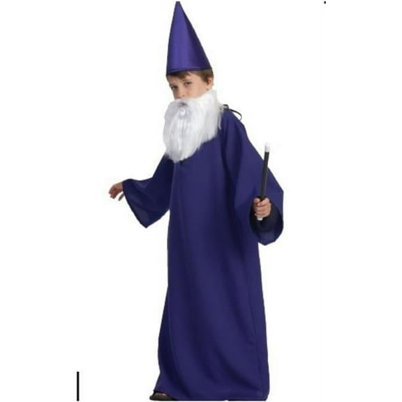 Wizard Boys Costume - Purple, Small