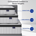 thumbnail image 3 of Madevos Queen Mattress in a Box, 12 inch Memory Foam individual Pocket Spring Hybrid Mattress - Medium Firm Support with Soft & Breathable, 3 of 11