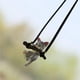 thumbnail image 3 of Kenally Adorno colgante para espejo retrovisor de coche, columpio, bolsa de gato volador, llavero, decoraciones, regalos para niña, Automoción decorativa y accesorios, 3 of 6