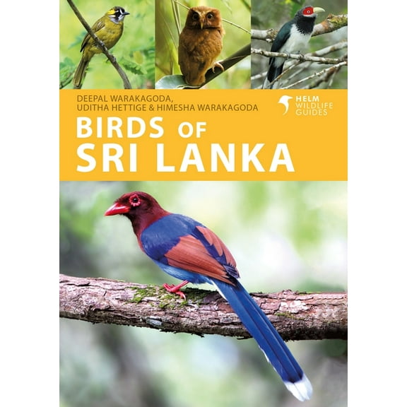 Helm Wildlife Guides: Birds of Sri Lanka (Series #4) (Paperback)