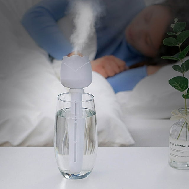 Leutsin Portable Mini Humidifier,Usb Cool Mist Humidifier,Quiet Desktop Mini Rose Humidifier,Portable Mini Air Humidifier for Bedroom Desk Car Travel Office Baby
