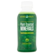 Natural Vitality Concentrated Green Apple Flavor Plant-Sourced Minerals, 16 fl oz