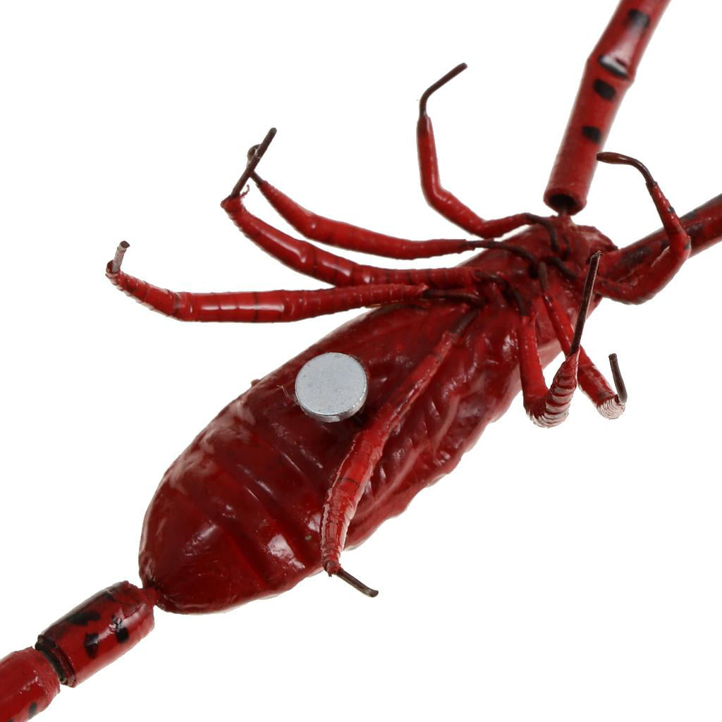 Lifelike Insect Ornament Fridge Magnet Vivid Figurine Model Statues Gecko 