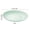 Green, variant on Plastic Dinner Plates, Reusable Unbreakable Dinnerware Set with Wood Grain Finish, Dishwasher Safe Round Plates for Kitchen, Camping, Parties, and Everyday Meals