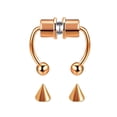 thumbnail image 2 of CHUANK Faux Anneau de Nez Anneau de Nez Mode Réutilisable en Acier Inoxydable Septum Magnétique Bijoux 5 Pcs, 2 of 8