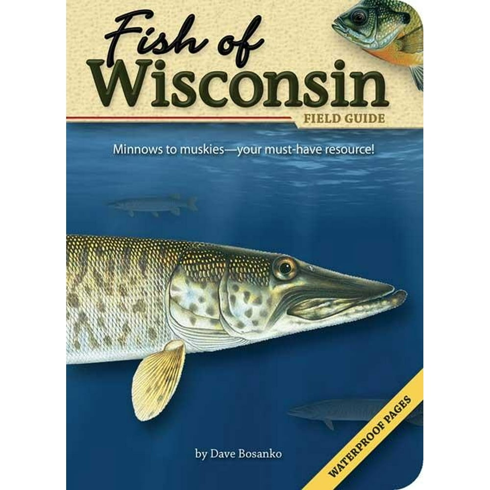 Fish Identification Guides Fish of Wisconsin Field Guide (Paperback