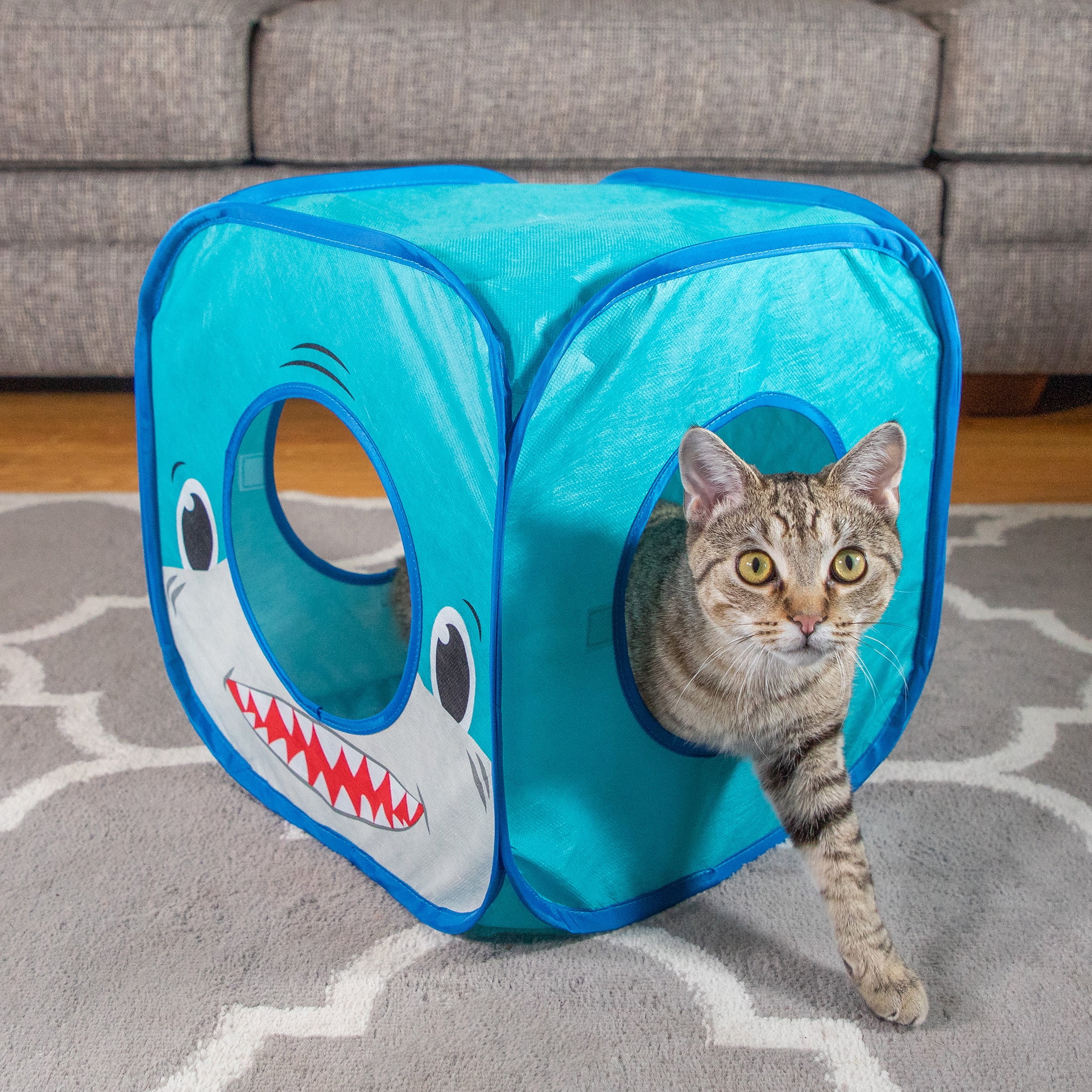 (3 pack) Vibrant Life Pop Open Shark Collapsible Cat House, Blue, 15"