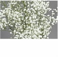thumbnail image 4 of Paniculata Flor Natural Ramo de 25 tallos Blanco 80cm de alto, 4 of 4
