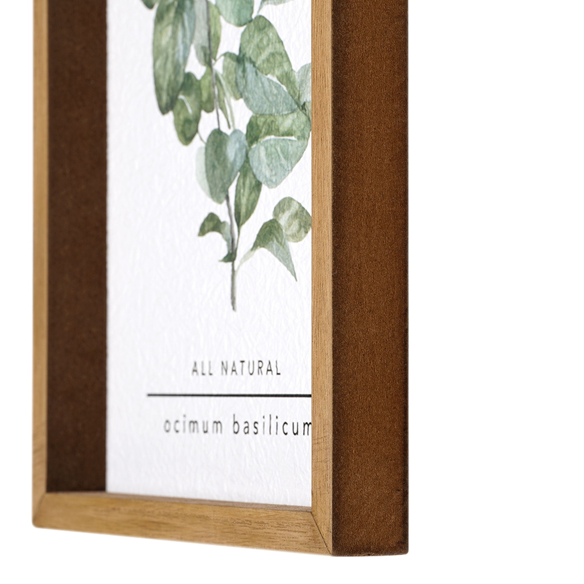 Crystal Art Gallery Basil and Thyme Framed Wall Art Print Size 12" x 8" by Heather Myers Set of 2