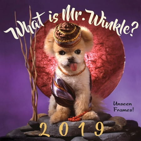 2019 Mr. Winkle Unseen Frames Wall Calendar, by All Things