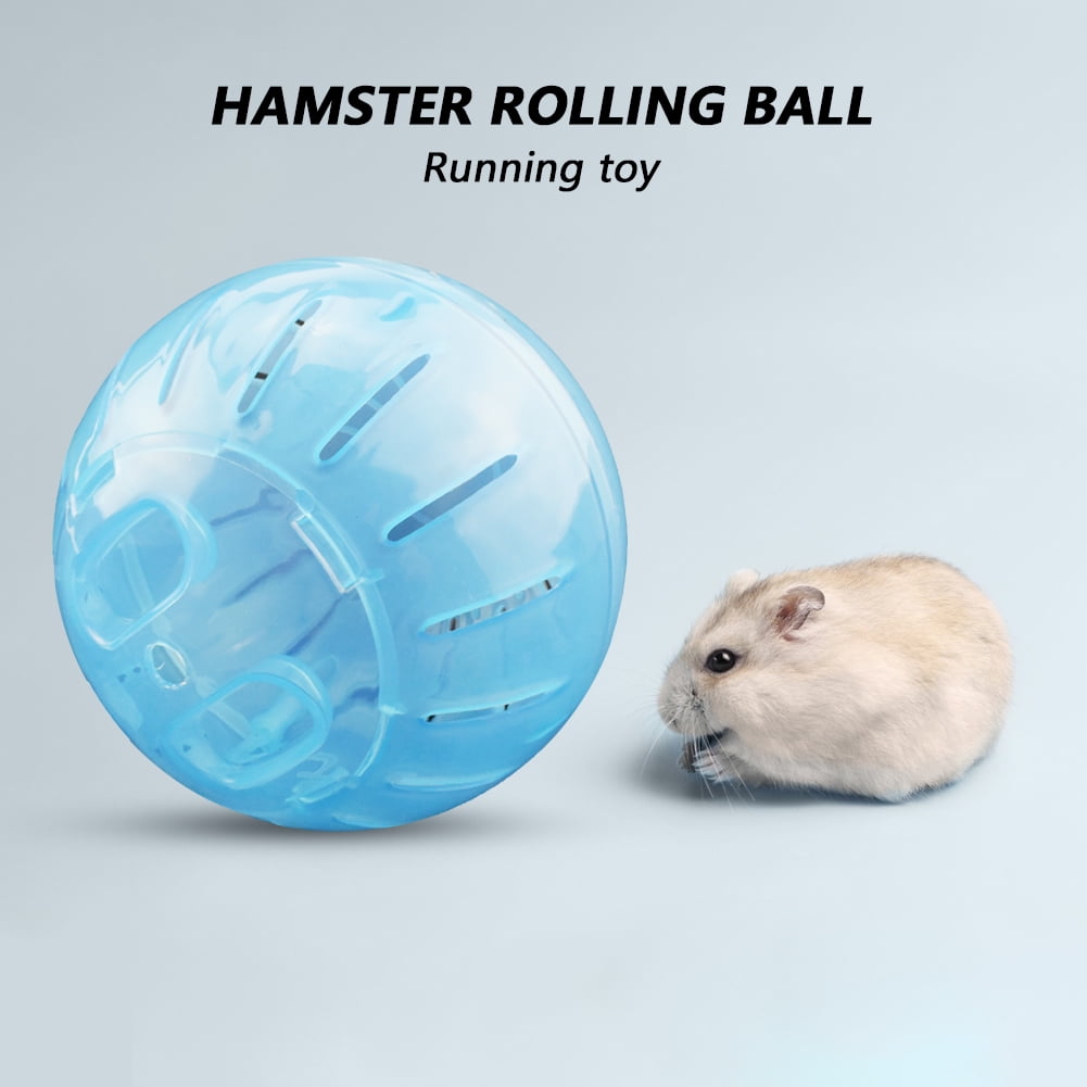Zexumo Hamster Exercise Ball,Transparent Hamster Ball Running Hamster ...