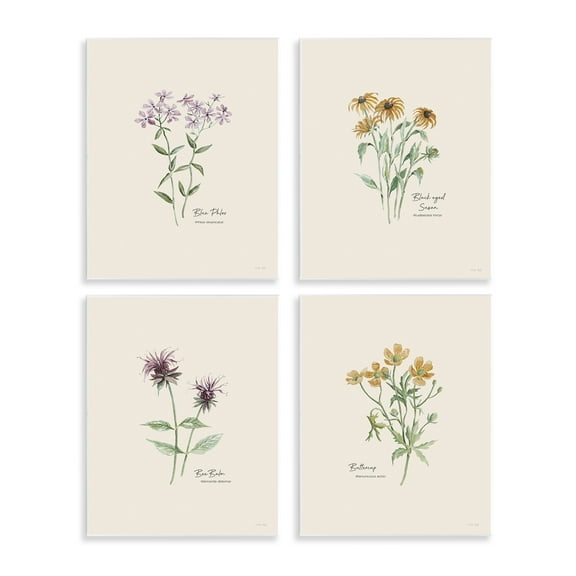 Stupell Industries Simple Wildflower Studies Plants & Flowers Painting Unframed Art Print Wall Art, 11 x 14, Set of 4