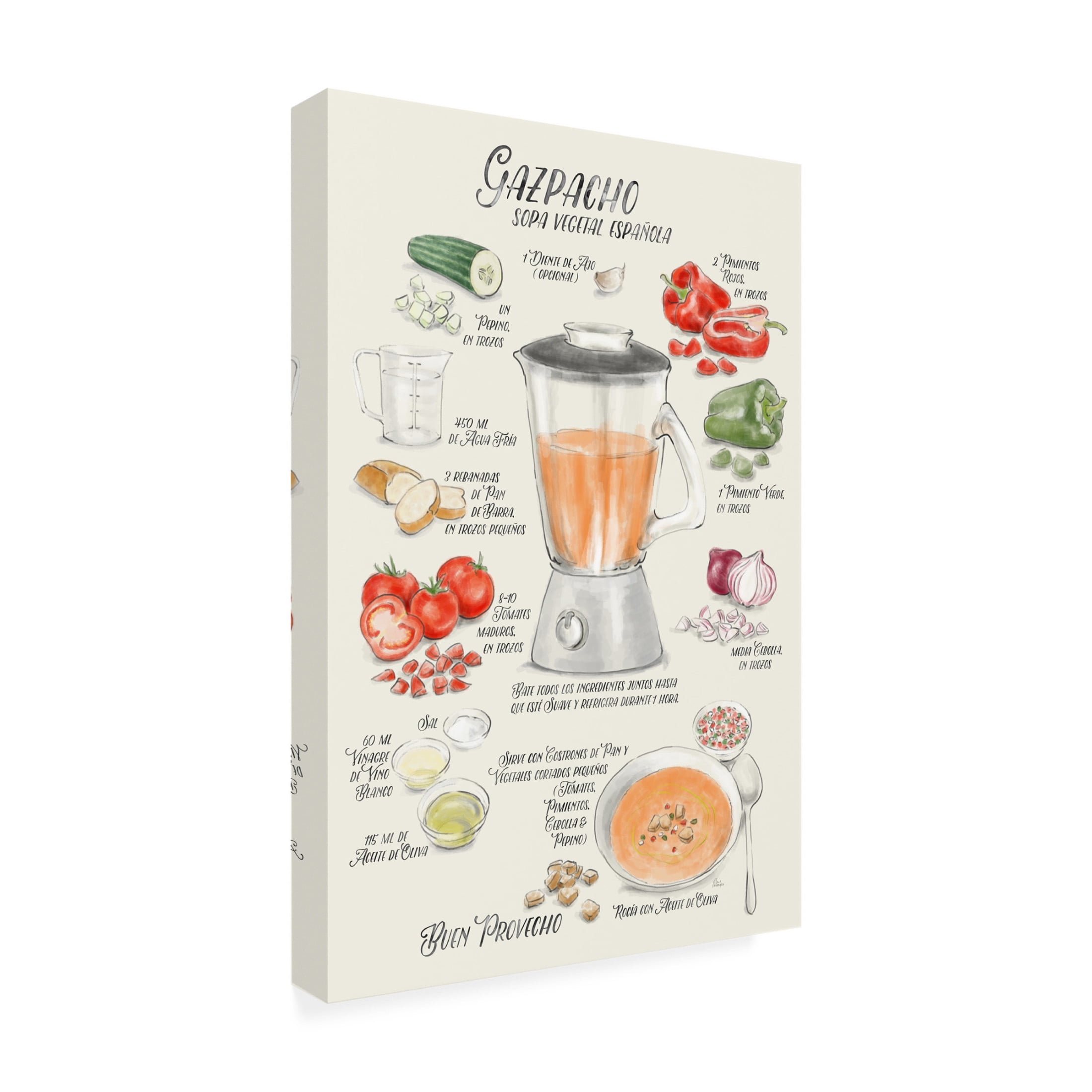 Trademark Fine Art Rosana Laiz Blursbyai Gazpacho illustrated recipe in Spanish Canvas Wall Art