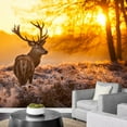 thumbnail image 3 of wall26 - Red Deer in Morning Sun - Removable Wall Mural | Self-Adhesive Large Wallpaper - 100x144 inches, 3 of 6