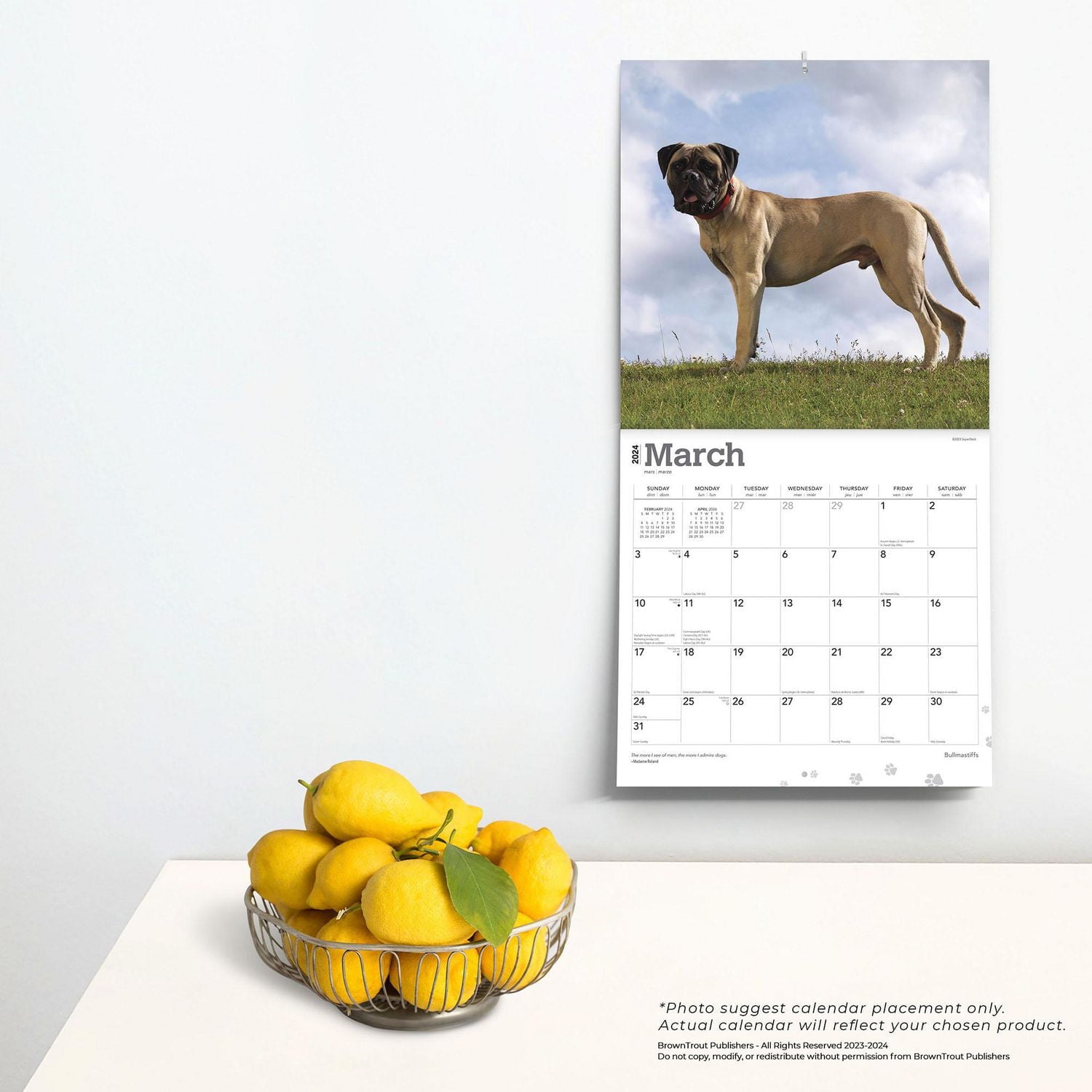 BrownTrout Bullmastiffs 2024 Mur Carré 30.48x60.96 CM, 9781975470685