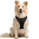 thumbnail image 1 of Arnés para perros Rabbitgoo, ajustable, sin tirones, negro, para perros medianos, 1 of 9