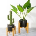 thumbnail image 4 of TRINGKY Plant Stand Modern Design Indoor Plant Stand,Mid Century Wood Flower Pot Holder, 4 of 12