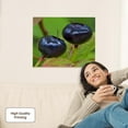thumbnail image 2 of 3dRose, Huckleberry fruit, Flathead National Forest, Montana - US27 CHA1441 - Chuck Haney, Museum Grade Canvas Wrap 20x16, 2 of 7