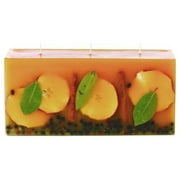 Rosy Rings Spicy Apple Botanical 3 Wick Brick Candle